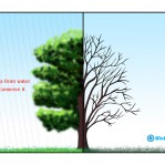World Environment Day Campaigns