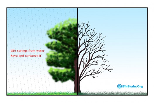World Environment Day Campaigns